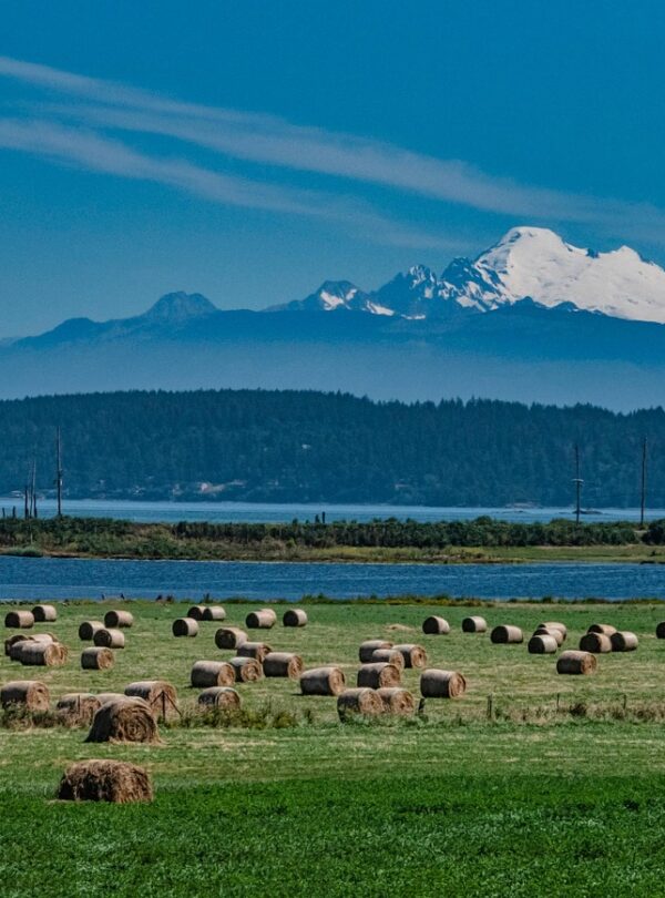 mount-baker-7338426_1280